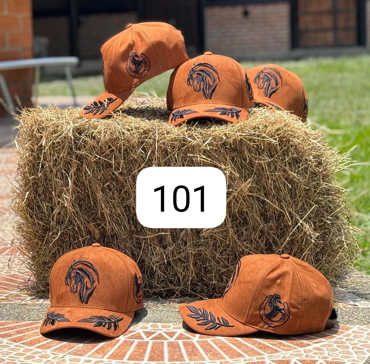 Miniatura 23 de Gorras Equinas Coleccion 31-03